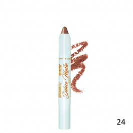 رژلب مدادی دلیسه Delice matte lipstick 24